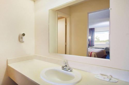 格林维尔戴斯格林维尔酒店的一间带水槽和大镜子的浴室