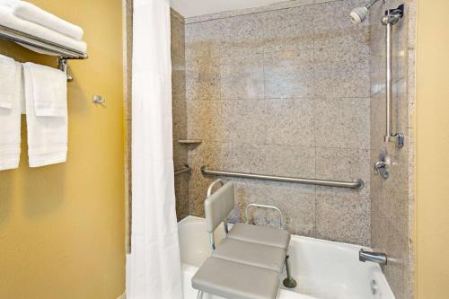罗维莎劳伦斯维尔戴斯酒店的一间带卫生间和淋浴的浴室
