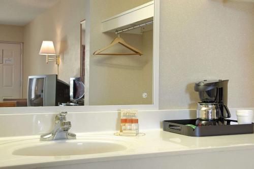 鸽子谷Days Inn by Wyndham Apple Valley Pigeon Forge/Sevierville的浴室的柜台设有水槽和镜子