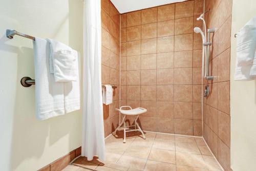 阿尔伯克基西阿尔伯克尔基戴斯酒店的带淋浴和卫生间的浴室