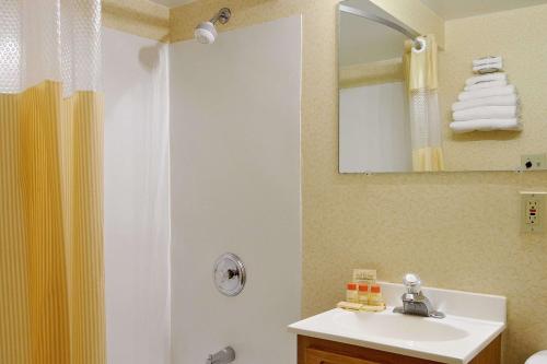 莱克伍德克利夫兰莱克伍德戴斯酒店的一间带水槽和淋浴的浴室