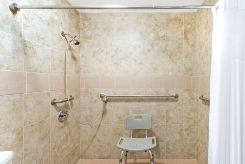 斯奈德戴斯恩斯奈德汽车旅馆的浴室内配有淋浴和椅子