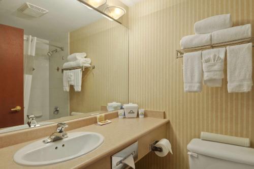 里士满温哥华机场戴斯酒店的一间带水槽、卫生间和镜子的浴室