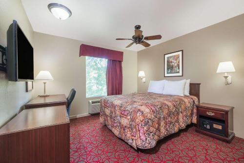 圣彼得斯圣彼得/圣查尔斯戴斯酒店的配有一张床和一台平面电视的酒店客房