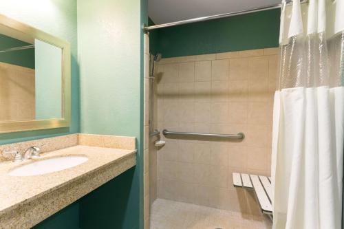 棕榈海岸Palm Coast Hotel & Suites-I-95的一间带水槽和淋浴的浴室