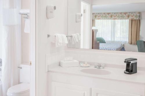 埃斯特罗迈尔斯堡温泉度假村戴斯酒店的白色的浴室设有水槽和镜子