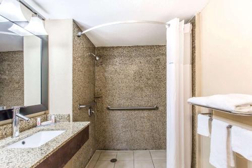 劳德代尔堡劳德代尔堡机场邮轮港口戴斯酒店的带淋浴和盥洗盆的浴室