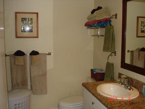 卡帕阿艾兰德尔海滨244号公寓的一间带水槽、卫生间和镜子的浴室