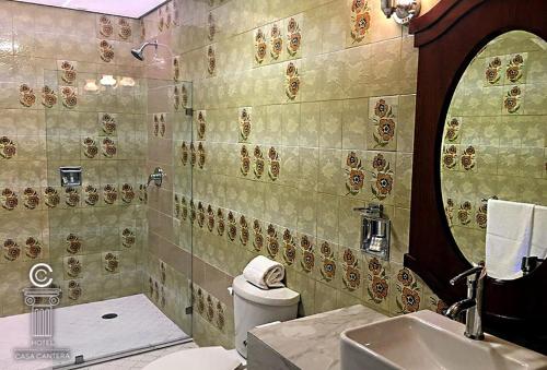莱昂Hotel Casa Cantera的一间带卫生间、水槽和镜子的浴室