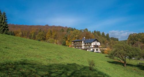 Grasellenbach加斯巴赫塔尔酒店的草山顶上的大房子