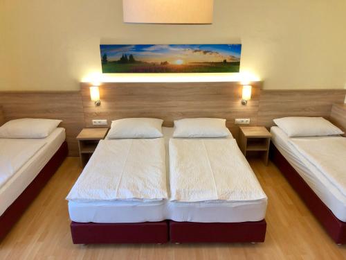 萨尔茨堡萨尔兹堡酒店的一间设有两张床的客房,墙上挂着一幅画
