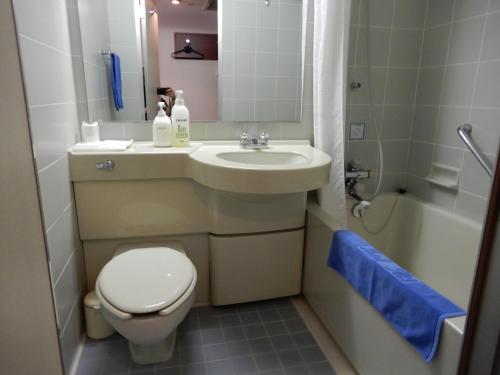 东京雷伊酒店的一间带水槽、卫生间和淋浴的浴室