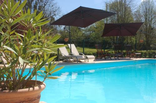 BrionLe Logis du Pressoir Chambre d'Hotes Bed & Breakfast in beautiful 18th Century Estate in the heart of the Loire Valley with heated pool and extensive grounds的一个带两把遮阳伞和椅子的游泳池以及一个游泳池