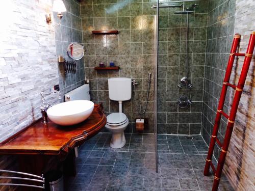 内比乌诺天鹅湖旅馆的带淋浴、卫生间和盥洗盆的浴室