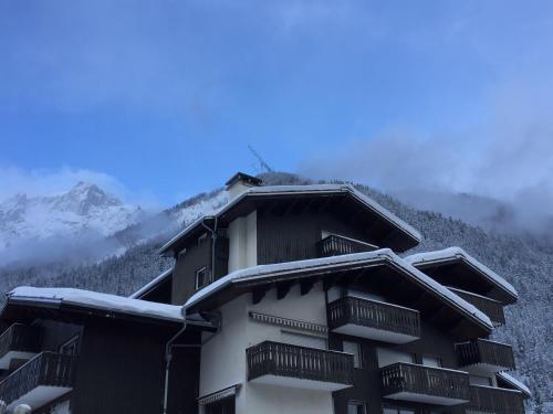 夏蒙尼-勃朗峰Le petit M Chamonix au pied du Brévent的相册照片