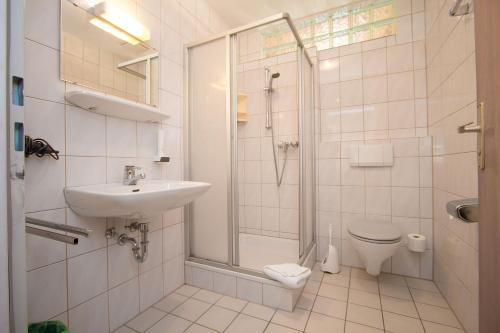 巴特莱辛哈尔玛德尔鲍尔高山旅馆的一间带水槽、淋浴和卫生间的浴室