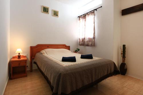 阿雷西费Holiday Apartment C Lanzarote的一间卧室配有一张床、一张桌子和一个窗户。