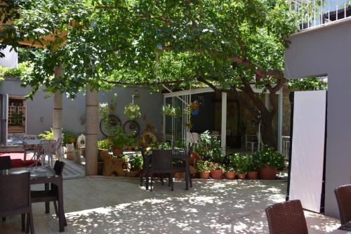安塔利亚赫尔德酒店的树下带桌椅的庭院