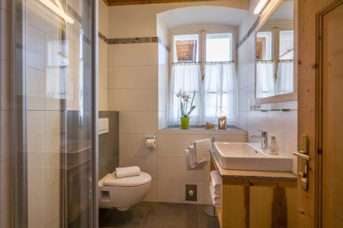 布里克森谷地霍普夫加尔滕豪斯哈格根穆勒公寓的一间带卫生间和水槽的浴室