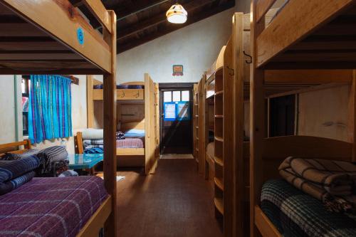 Posada del Abuelito (Hostel)客房内的一张或多张双层床