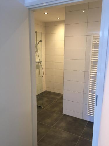 Koudekerk aan den Rijn海努弗公寓酒店的设有带镜子的浴室内的步入式淋浴间