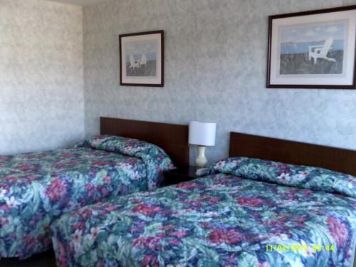 杜威海滩Sea Esta Motel 1的酒店客房设有两张床,墙上挂有绘画作品