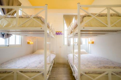 花莲市花莲鸟窝青年旅舍的一间卧室设有两张双层床和一扇窗户。