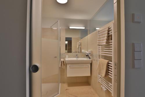 阿姆施泰滕阿尔卑布里克宾馆的一间带水槽、淋浴和镜子的浴室