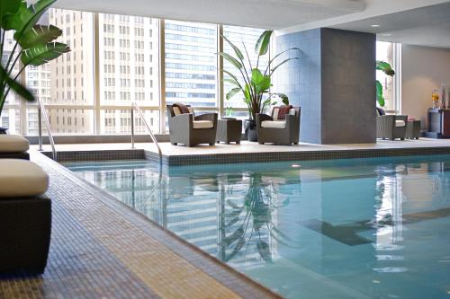 芝加哥芝加哥特朗普国际大厦酒店的一座带椅子的酒店游泳池,一座建筑