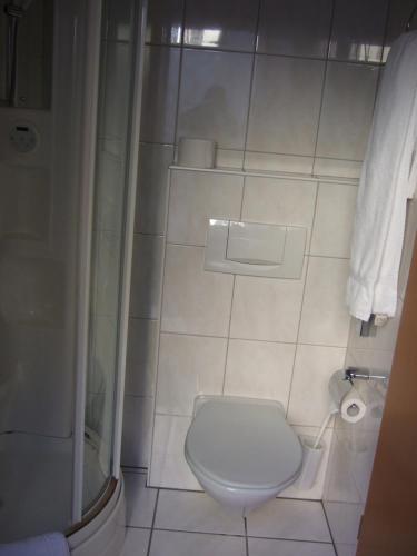 埃施阳光宾馆的一间带卫生间和淋浴的浴室