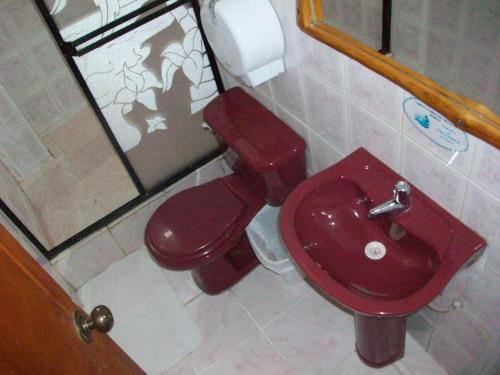 普约拉斯帕尔马斯旅馆的一间带红色卫生间的浴室和窗户。