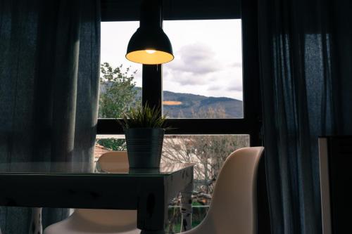 埃尔瓦La Antigua Fonda的坐在窗前的桌子,上面有盆栽植物