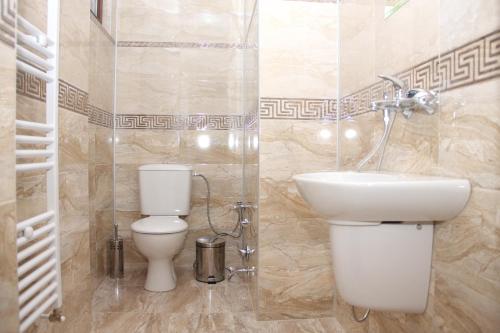 韦林格勒Guest House Stelia的一间带卫生间和水槽的浴室