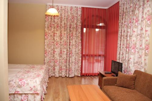 韦林格勒Guest House Stelia的一间配有沙发、一张床和窗户的客房