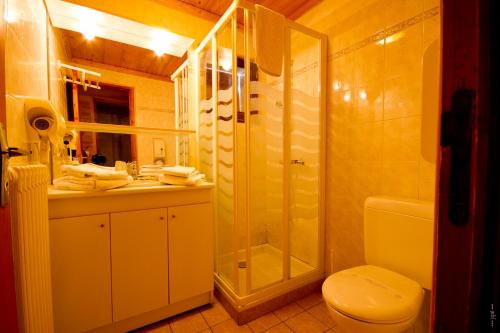圣母贝莱克莫里尼尔旅馆的带淋浴、卫生间和盥洗盆的浴室