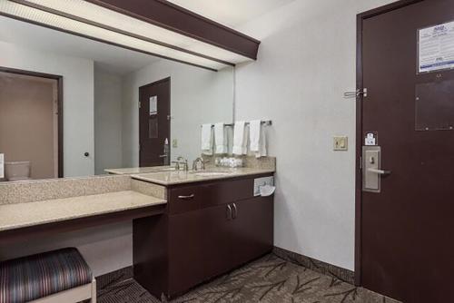爱达荷福尔斯西尔洛套房酒店 - 爱达荷瀑布的一间带水槽和大镜子的浴室