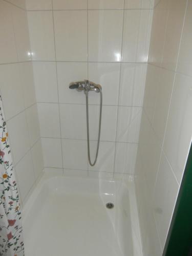 BožanovPenzion Zemanův Dvůr的浴室内配有淋浴和头顶淋浴