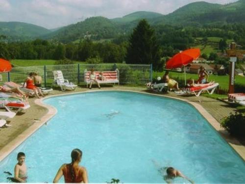 勒蒂约Nice chalet with dishwasher, in the High Vosges的一群人坐在游泳池周围