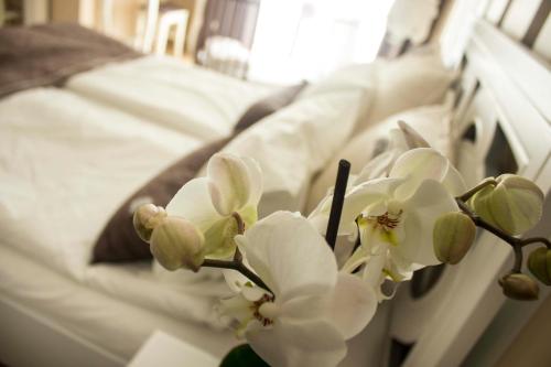 诺维萨德Lux new white apartment的医院床上的一束白色花