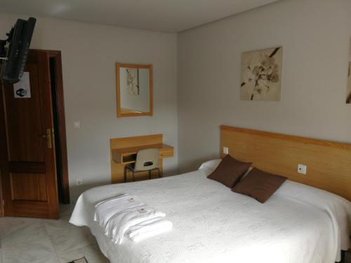 莱昂Hostal Cerecedo的一间卧室配有一张床和一张书桌