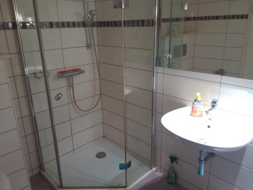 泰尔托Teltow Ferienwohnung的带淋浴和盥洗盆的浴室