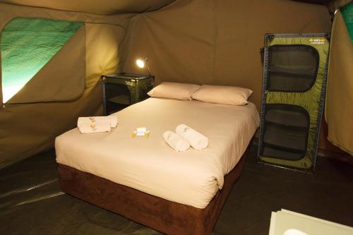 侯斯普瑞特Swadini, A Forever Resort的帐篷内一间卧室,配有一张床