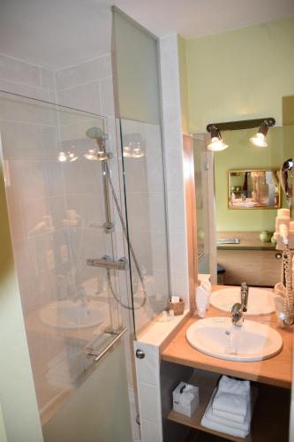 温瑟蒙特勒巴博伊隆酒店的带淋浴、盥洗盆和镜子的浴室