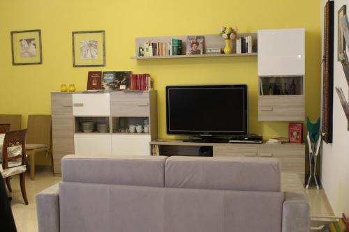 博洛尼亚Carbonara Apartment的带沙发和电视的客厅
