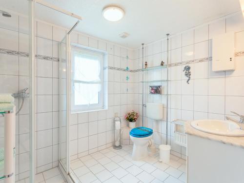 巴贝Ferienhaus in Baabe D 092.049的一间带卫生间和水槽的浴室