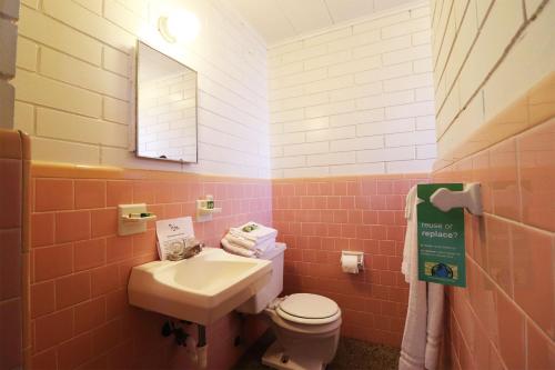 AstorBig River Marina & Lodge的一间带水槽、卫生间和镜子的浴室