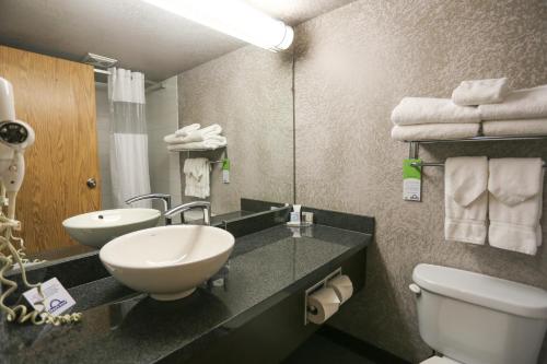 卡尔加里机场戴斯酒店的一间浴室