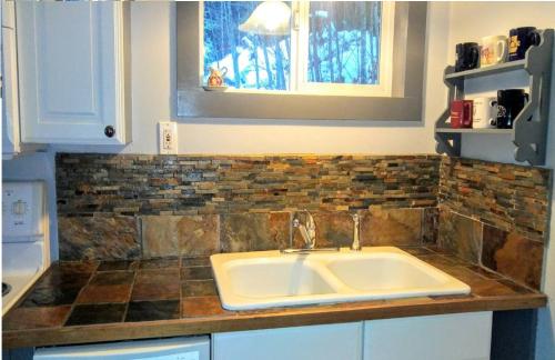 帕克伍德Packwood Ski & Vacation Getaway的带水槽的厨房台面和窗户