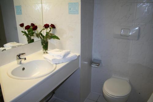 厄扎森玛格丽特霍夫乡村酒店的一间带水槽、卫生间和鲜花的浴室