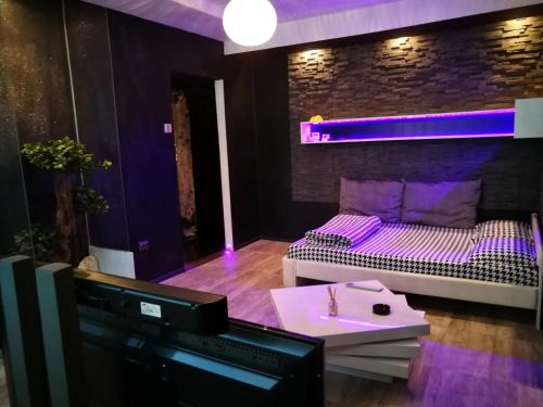 布拉索夫Excentric Studio 1的一间设有紫色灯床的房间